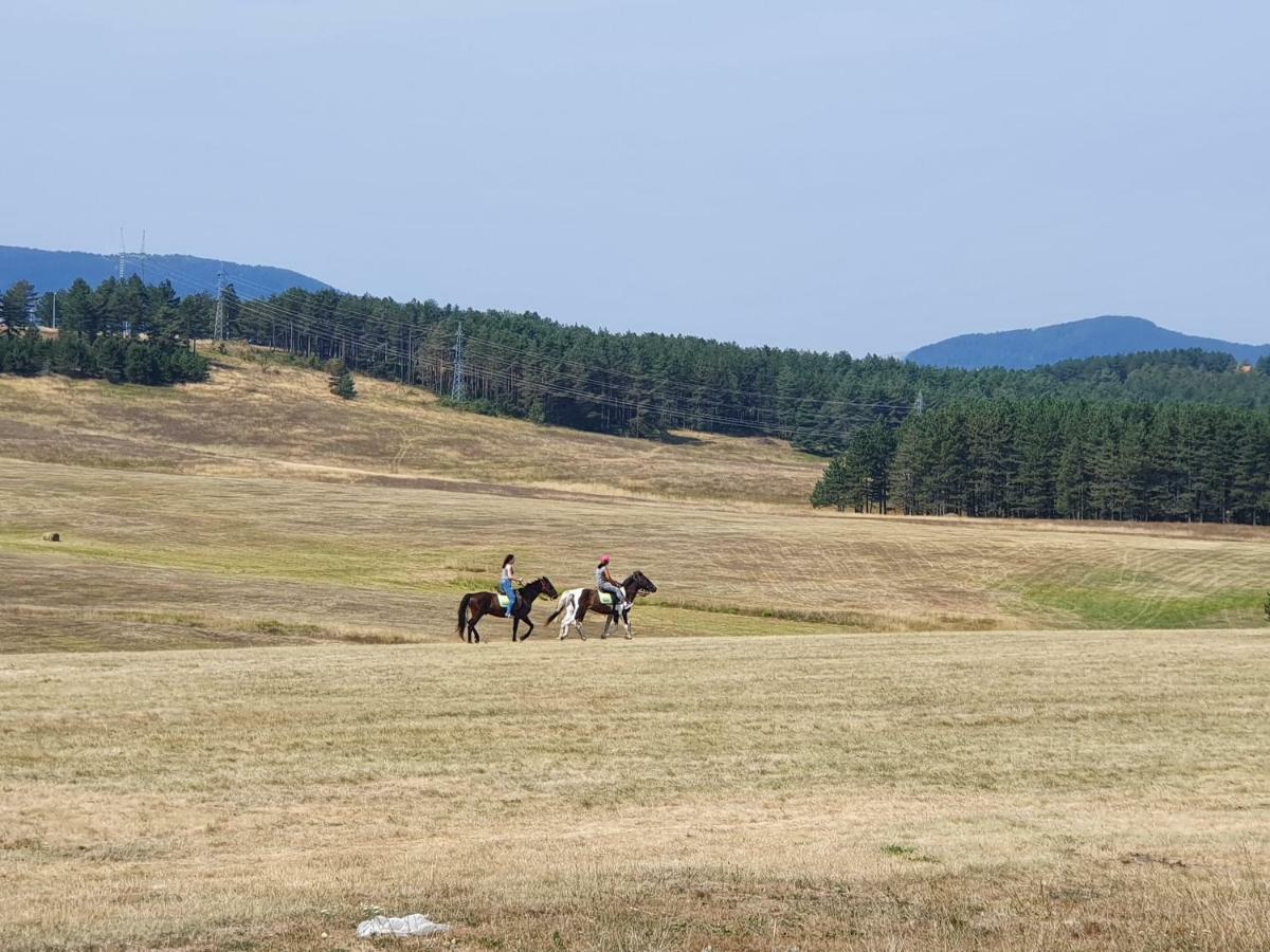 Апарт готель Zlatibor Hills Lara Екстер'єр фото